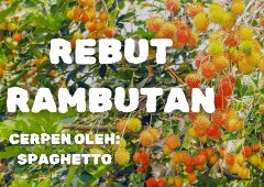 Cerpen Rebut Rambutan singkat tentang jangan mencuri, bersyukurlah singkat 4 paragraf dengan koda